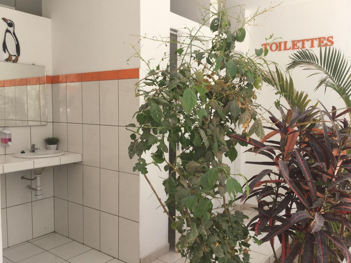 Paracas Backpackers House Zewnętrze zdjęcie